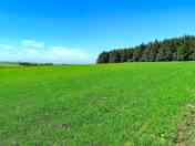 Peaceful and secluded