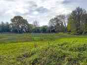 Grassy pitch