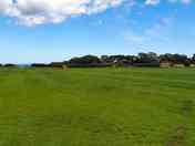 Open field; you can camp next to the pods if you're in a group