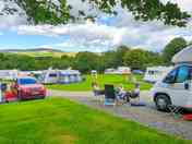 Tavy Field