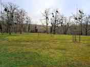 Spacious pitches