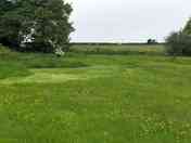 Ladybird tent pitch