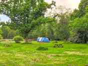 Grass pitches