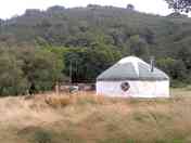 Red Kite yurt