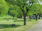 Grass pitches