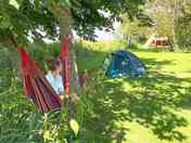 Hammock between the trees