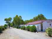 Bungalows surrounded by trees