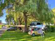 Shaded pitches