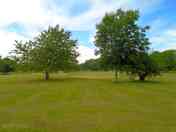 Camping area