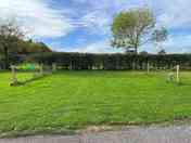 Roomy grass pitches