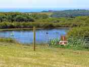 Our tent pitches with vies over our lake