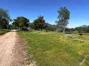 Grass pitches