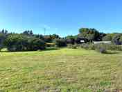 Grass pitches