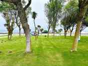 Tent pitch