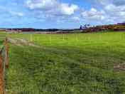Grassy pitches