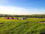 Grass pitches