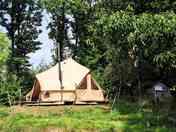 Buttercup bell tent