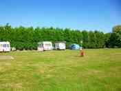 Pitches on site