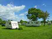 Pitches on site