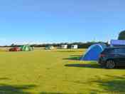 Visitor image of the non-electric pitches