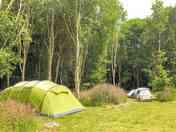 Camping pitches