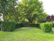 Grass pitch