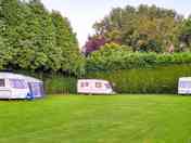 Grass pitches