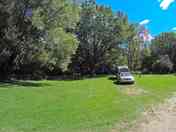 Big grassy sites
