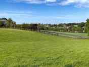 Hedgeberry Farm