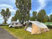 Grass tent pitches