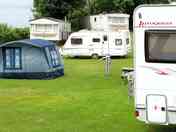 Electric grass tent pitch