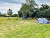 Non-electric grass tent pitch
