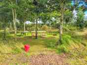 Woodland pitches