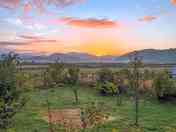 Visitor image of The orchard at sunset