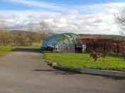 Large tent pitches