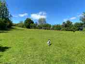 Wild camping pitches