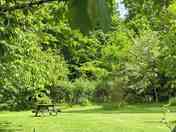 Small meadow