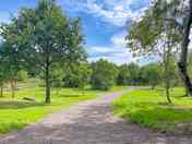Camping area