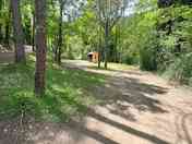 The site