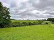 View from the pitches