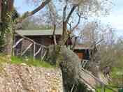 Chalets among the olive trees