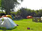 Grassy pitches