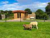 Buttercup lodge – and some neighbours