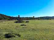 The camp field right by the ocean