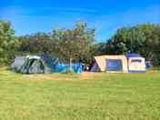 Spacious grassy pitches