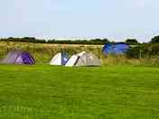 Tent pitches