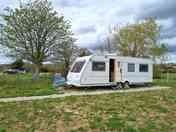 Caravan next to a chestnut tree