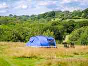 Wild Camping Pitch