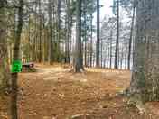 Location #2 in November