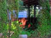 CARAVAN CON PATIO